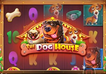 Игра The Dog House в Вай казино